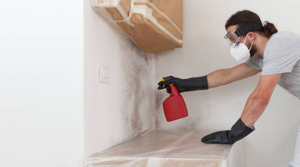Professional Mold Testing technician working in Roosevelt, NJ